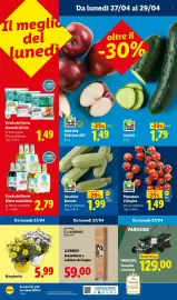 Volantino Lidl settimana 17 Pagina 59