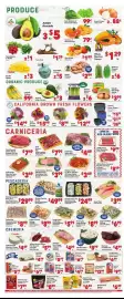 Vallarta Supermarkets weekly ad week 16 Page 4