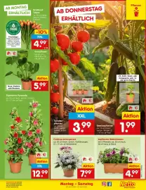 Netto Marken-Discount DE folder week 17 Pagina 11