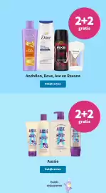 Plein.nl folder Pagina 13