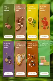 Catálogo Natura Página 184