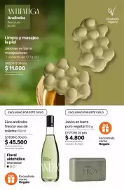 Catálogo Natura Página 187