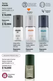 Catálogo Natura Página 209