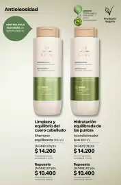 Catálogo Natura Página 243