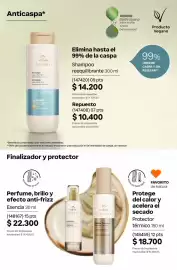 Catálogo Natura Página 246