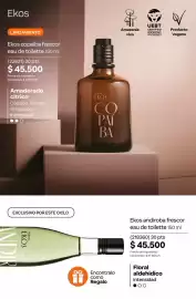 Catálogo Natura Página 87