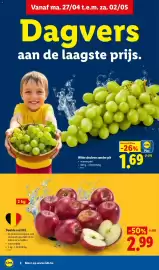 Lidl folder week 18 Pagina 2