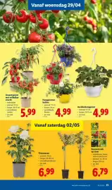 Lidl folder week 18 Pagina 23