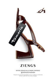 Ziengs folder Pagina 12