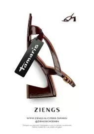 Ziengs folder Pagina 12