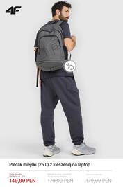 4F gazetka tydzień 16 Strona 12