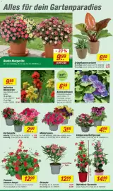 Toom Baumarkt Prospekt woche 17 Seite 4