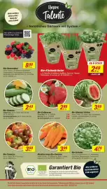 Toom Baumarkt Prospekt woche 17 Seite 6