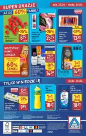 ALDI gazetka tydzień 17 Strona 42