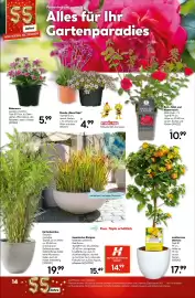 Hellweg Prospekt woche 17 Seite 18