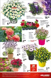 Hellweg Prospekt woche 17 Seite 19