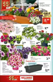 Hellweg Prospekt woche 17 Seite 20