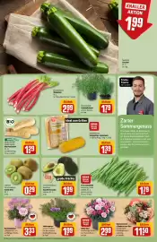 REWE Center Prospekt woche 17 Seite 11