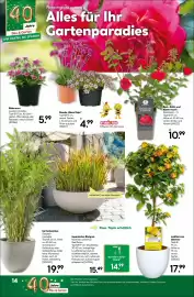 BayWa Bau & Garten Prospekt woche 17 Seite 18