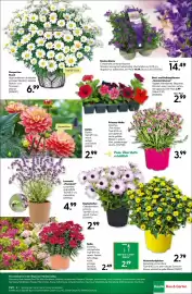 BayWa Bau & Garten Prospekt woche 17 Seite 19