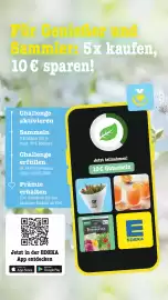 Scheck-in-Center Prospekt woche 17 Seite 13