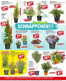 Repo Markt Prospekt woche 17 Seite 2