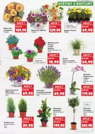 Kaufland leták týden 17 Strana 11