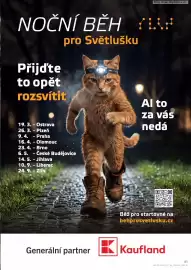 Kaufland leták týden 17 Strana 61