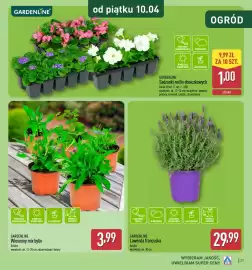 ALDI gazetka tydzień 17 Strona 21