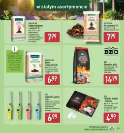 ALDI gazetka tydzień 17 Strona 39