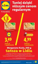 Lidl gazetka Strona 11
