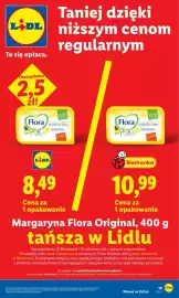 Lidl gazetka Strona 19