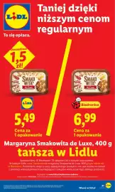 Lidl gazetka Strona 21