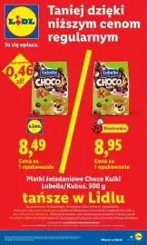 Lidl gazetka Strona 25
