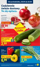 Lidl gazetka Strona 39