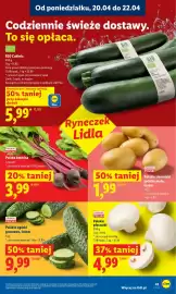 Lidl gazetka Strona 41