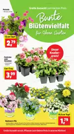 Thomas Philipps folder week 17 Pagina 1