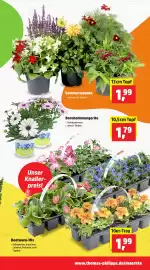 Thomas Philipps folder week 17 Pagina 2