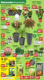 Thomas Philipps folder week 17 Pagina 5