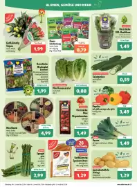 Aktiv Irma Prospekt woche 17 Seite 3