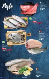 Catalog Selgros Pagină 10