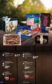 Catalog Selgros Pagină 20