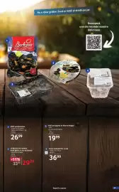 Catalog Selgros Pagină 23