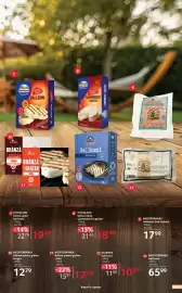 Catalog Selgros Pagină 25