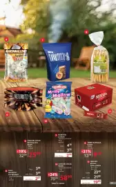 Catalog Selgros Pagină 29