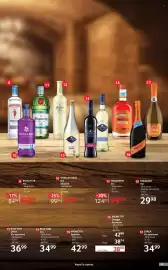 Catalog Selgros Pagină 33