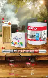 Catalog Selgros Pagină 39