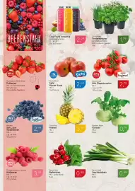 Dornseifer Prospekt woche 17 Seite 7