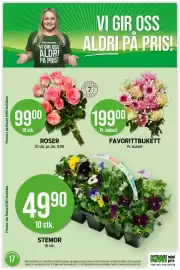 Kiwi kundeavis uke 17 Side 15