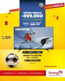 Catálogo Flamingo Página 3